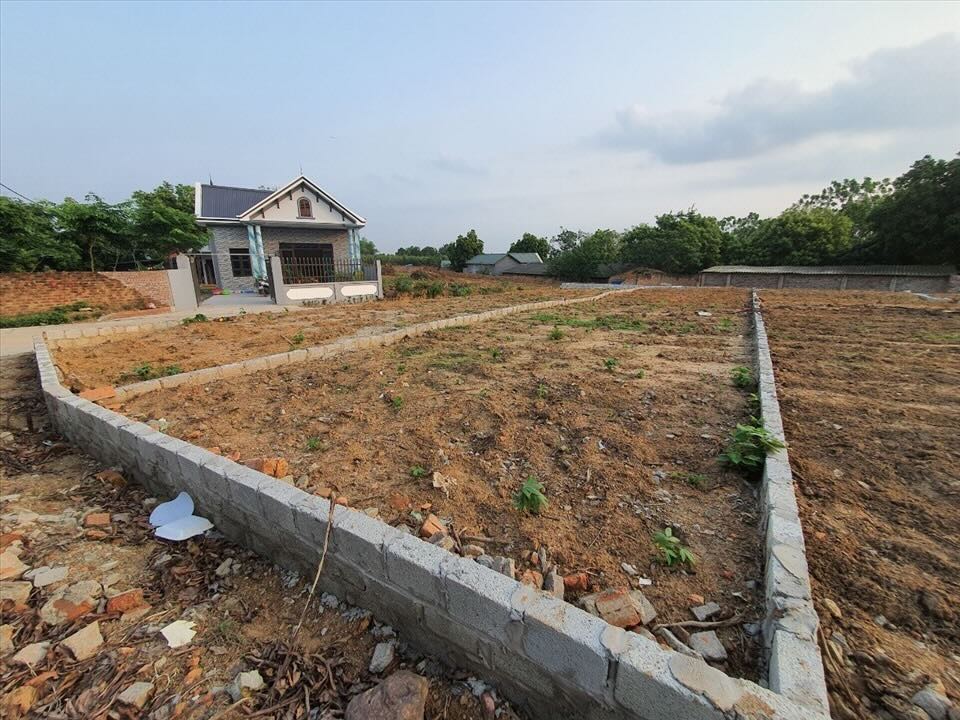 loi di