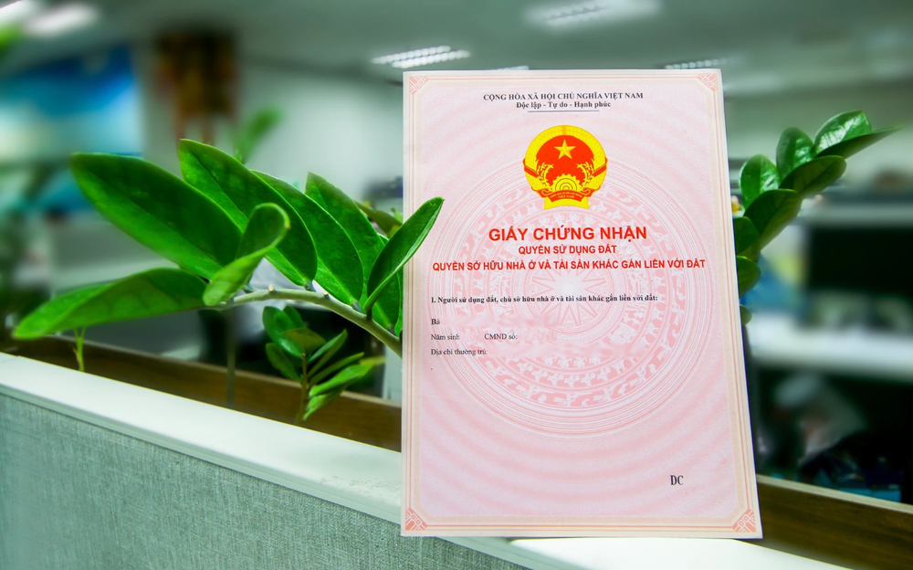Các trường hợp bị thu hồi sổ đỏ