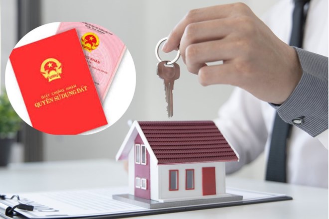 Các trường hợp không được nhận chuyển nhượng, tặng cho đất đai