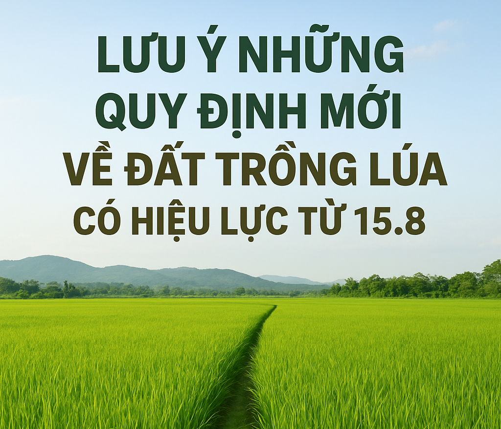 Lưu ý những quy định mới về đất trồng lúa từ 15 8 2025
