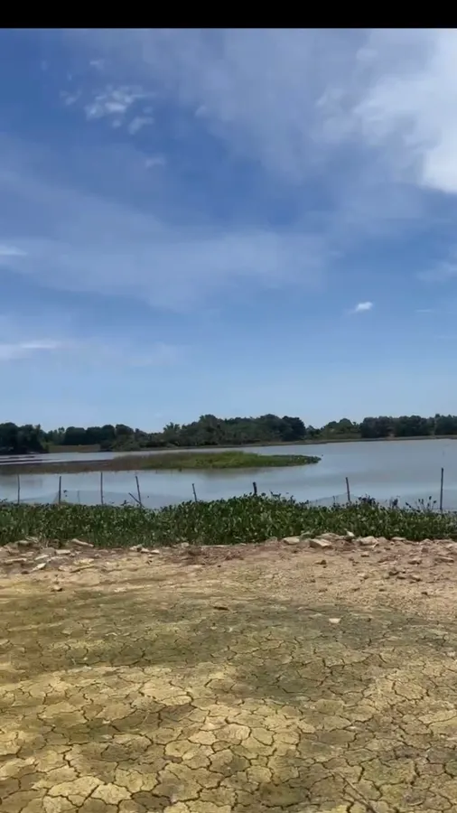 Cần bán trang trại 3ha tại Yên Định - có hồ, cây ăn quả và chuồng trại hoàn thiện