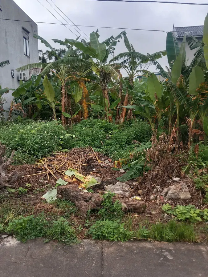 Bán đất Quảng Đức - 200m² mặt tiền 10m, gần UBND và trường học