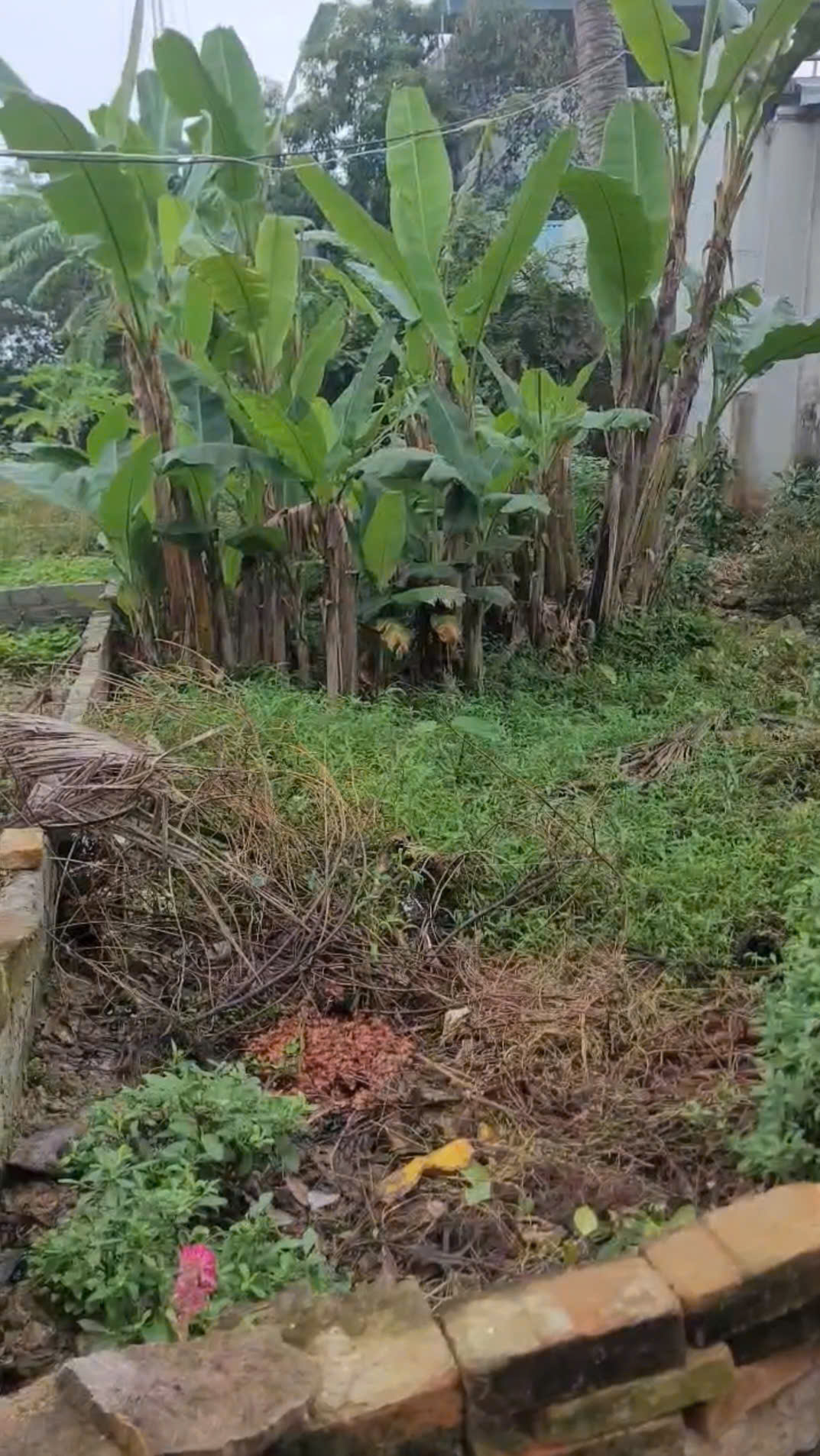 Lô đất gần công viên nước Đông Hương - 178m² vuông vắn, vị trí trung tâm đáng sống