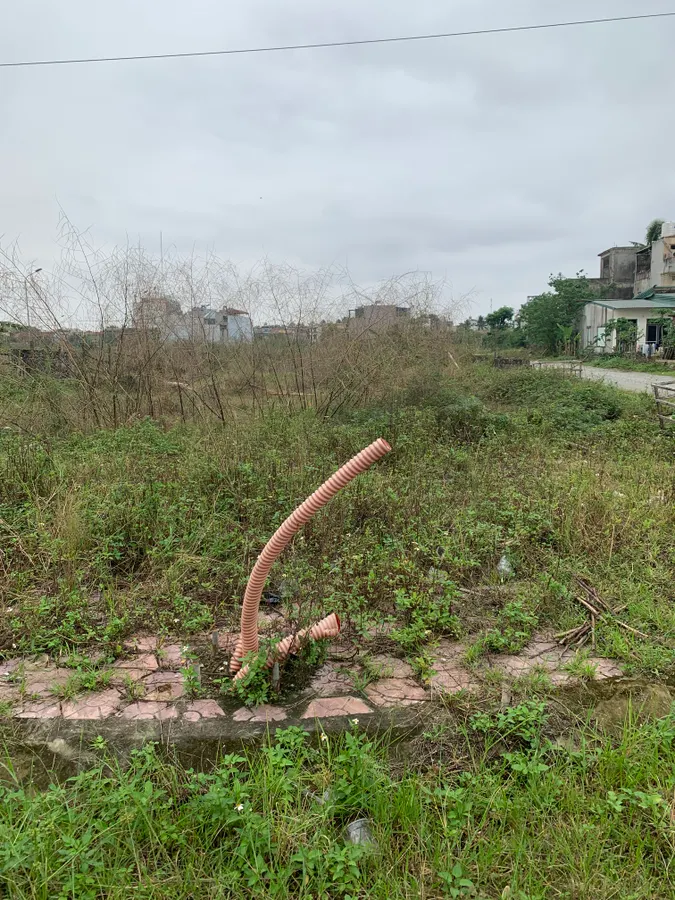 Bán lô đất đầu ve 94m² mb5186 Nam Ngạn - đường 15m, gần trường Nguyễn Bá Ngọc