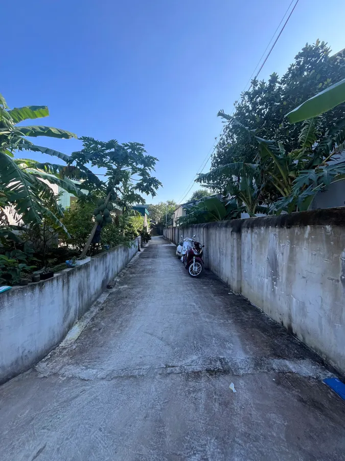 Bán đất Đông Tân 110m² gần Nguyễn Đình Thuần - cơ hội đầu tư sinh lời bền vững