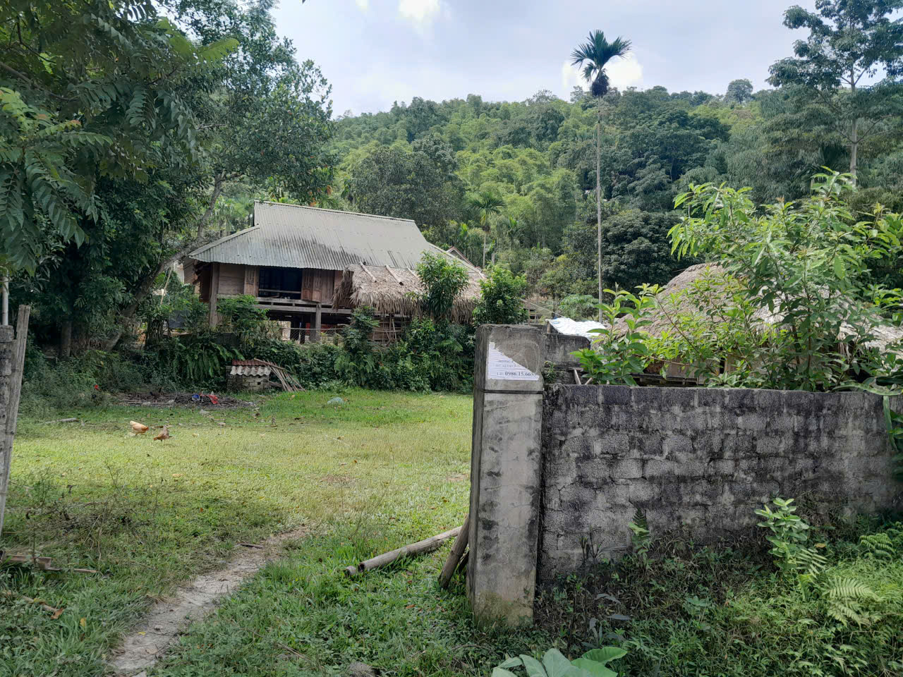 Phát mại tài sản tại thôn chuông cải, xã văn nho, tỉnh Thanh Hóa