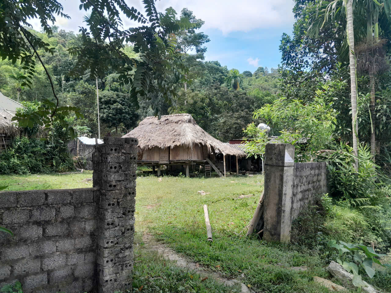 Phát mại tài sản tại thôn chuông cải, xã văn nho, tỉnh Thanh Hóa