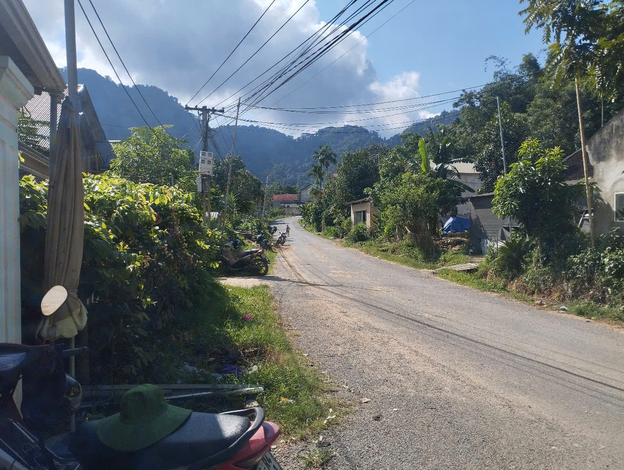 Phát mại tài sản tại thôn chuông cải, xã văn nho, tỉnh Thanh Hóa