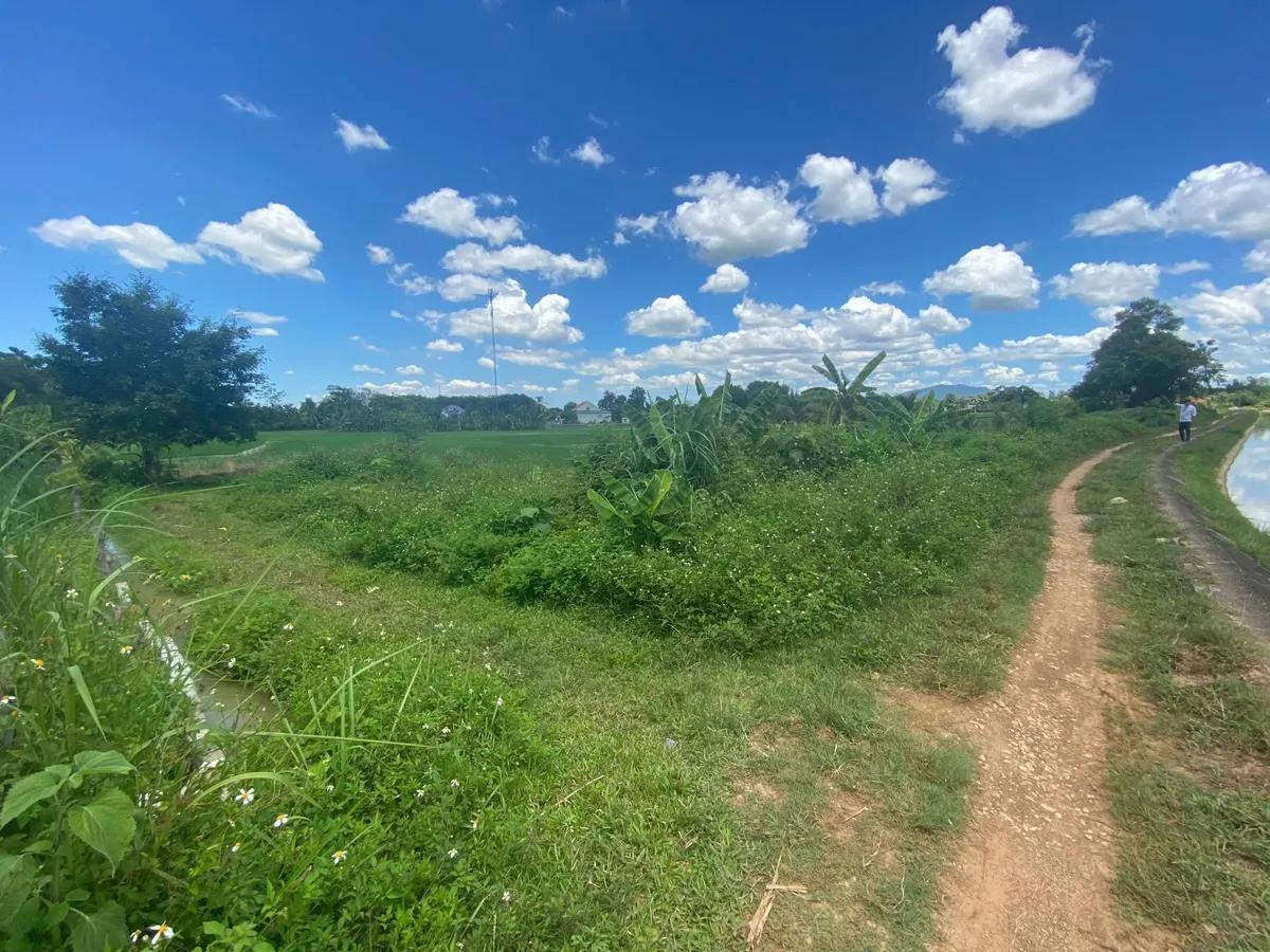 Bán lô đất view kênh đẹp ở thọ cường - mặt tiền 40m, tổng 1.618m² chia được 12 lô