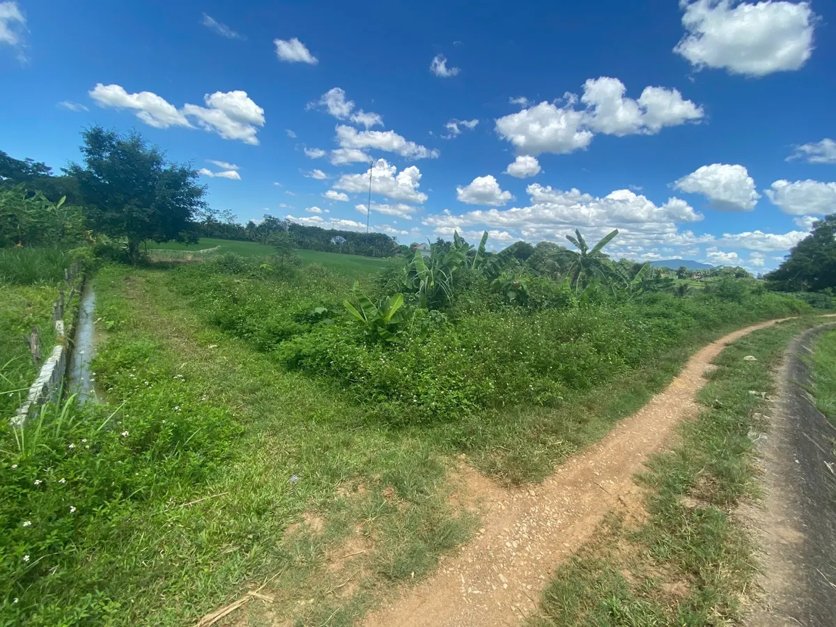 Bán lô đất view kênh đẹp ở thọ cường - mặt tiền 40m, tổng 1.618m² chia được 12 lô