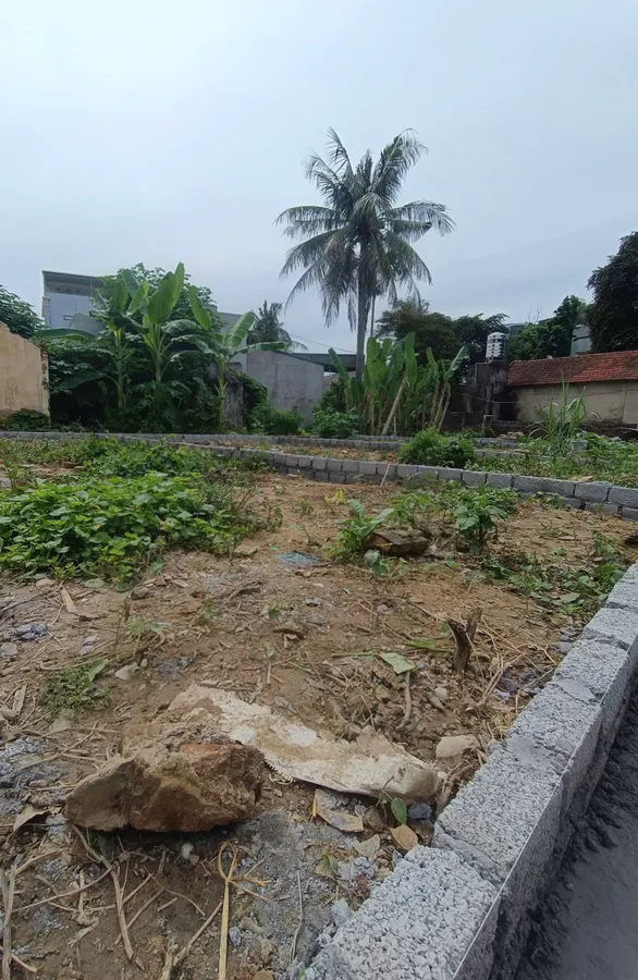 Bán đất gần công viên nước Đông Hương - ngõ ô tô nhỏ, giá chỉ hơn 1 tỷ