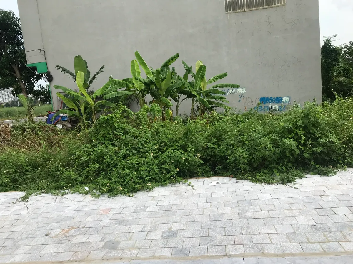 Bán lô đất 60m2 mbqh 8267 Công Viên Nước Đông Hương