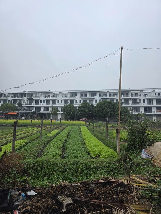 Sang tên lô đất phố Thành Yên - đường ô tô thông - gần mb 584 & chung cư Tân Thành