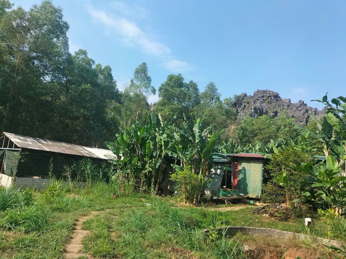 Trang trại gần 11.000m² tại Đông Nam - Đông Sơn, pháp lý rõ ràng, thời hạn gần 50 năm