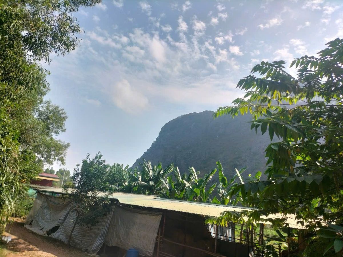 Trang trại gần 11.000m² tại Đông Nam - Đông Sơn, pháp lý rõ ràng, thời hạn gần 50 năm