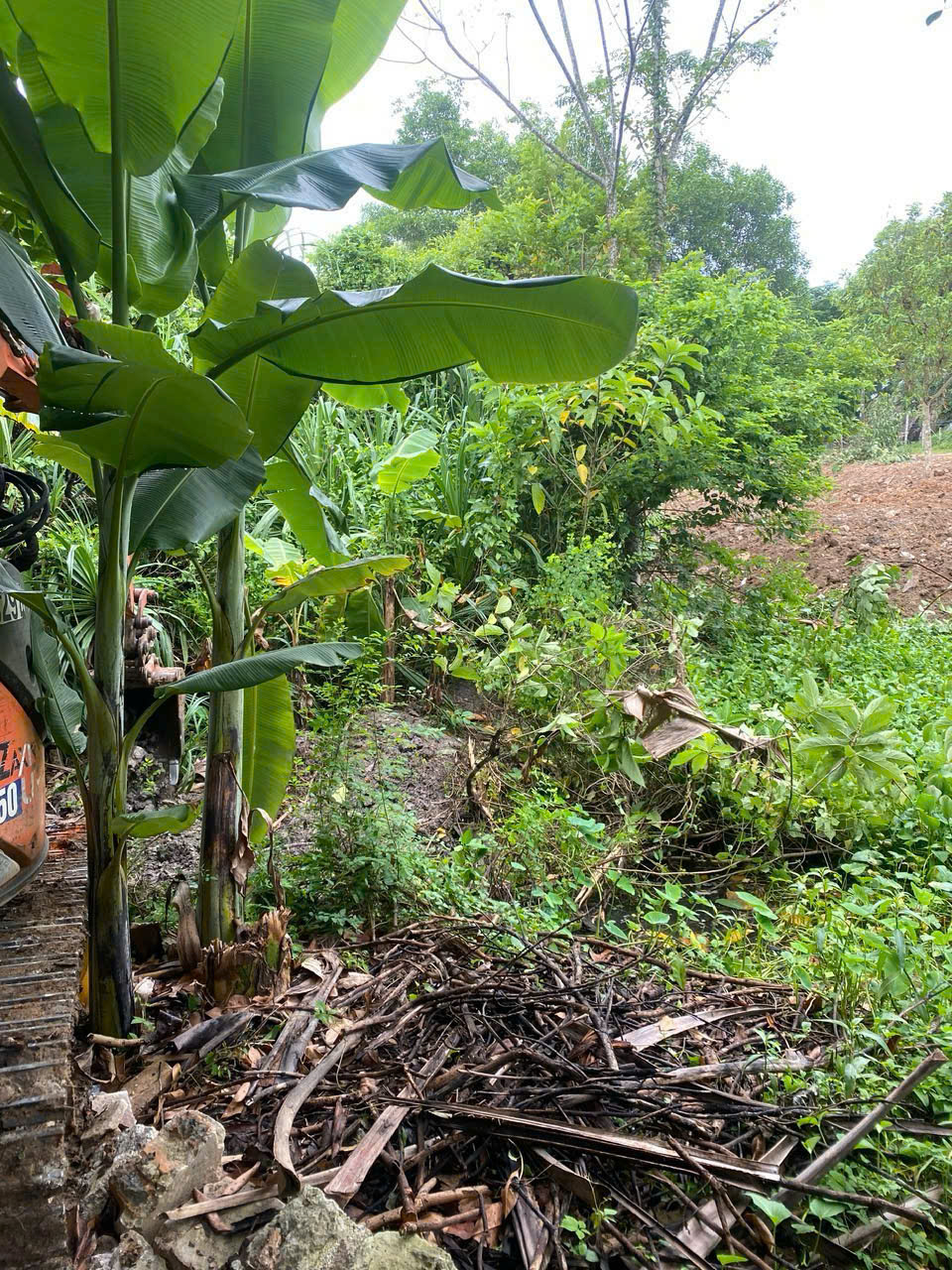 Bán đất xã Quảng Ninh, huyện Quảng Xương - 308,6m2, mặt tiền 12m, đường ô tô