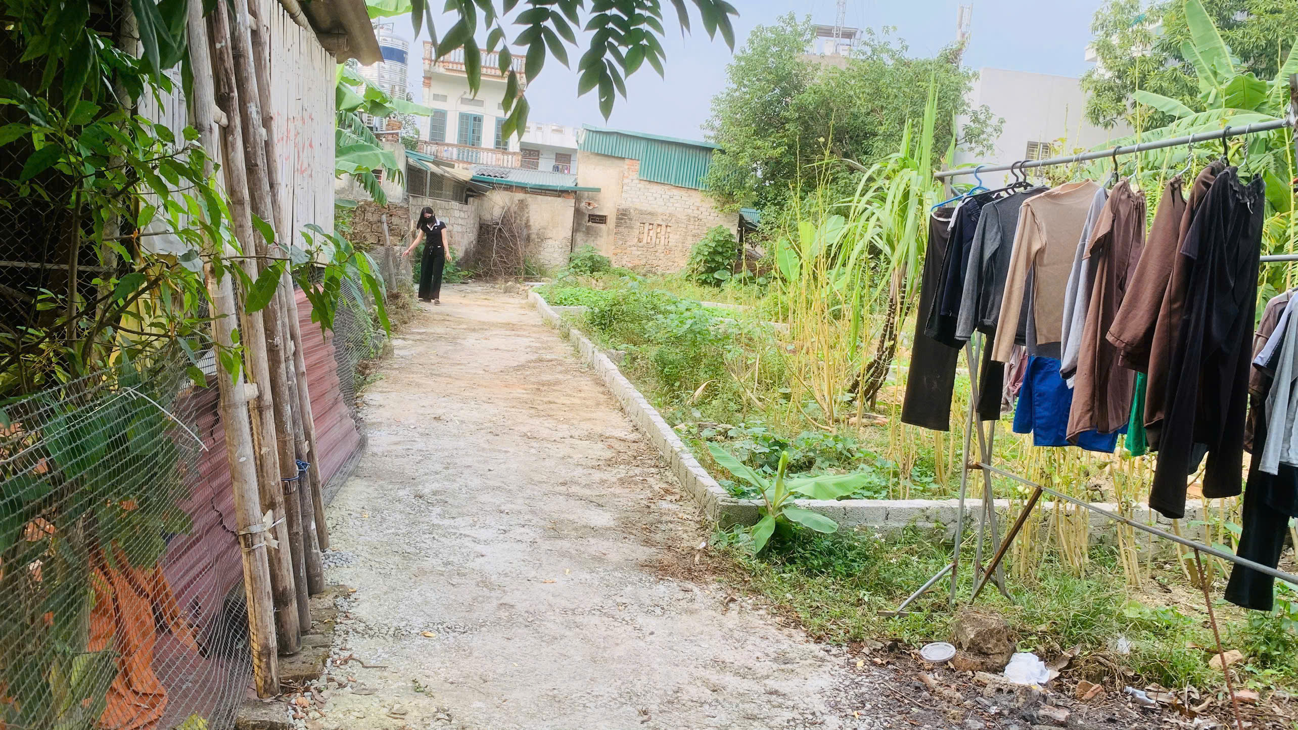 Đất gần công viên nước Đông Hương - 50,6m2, mặt tiền 4,6m, ngõ ô tô, giá tầm 1,2xx tỷ