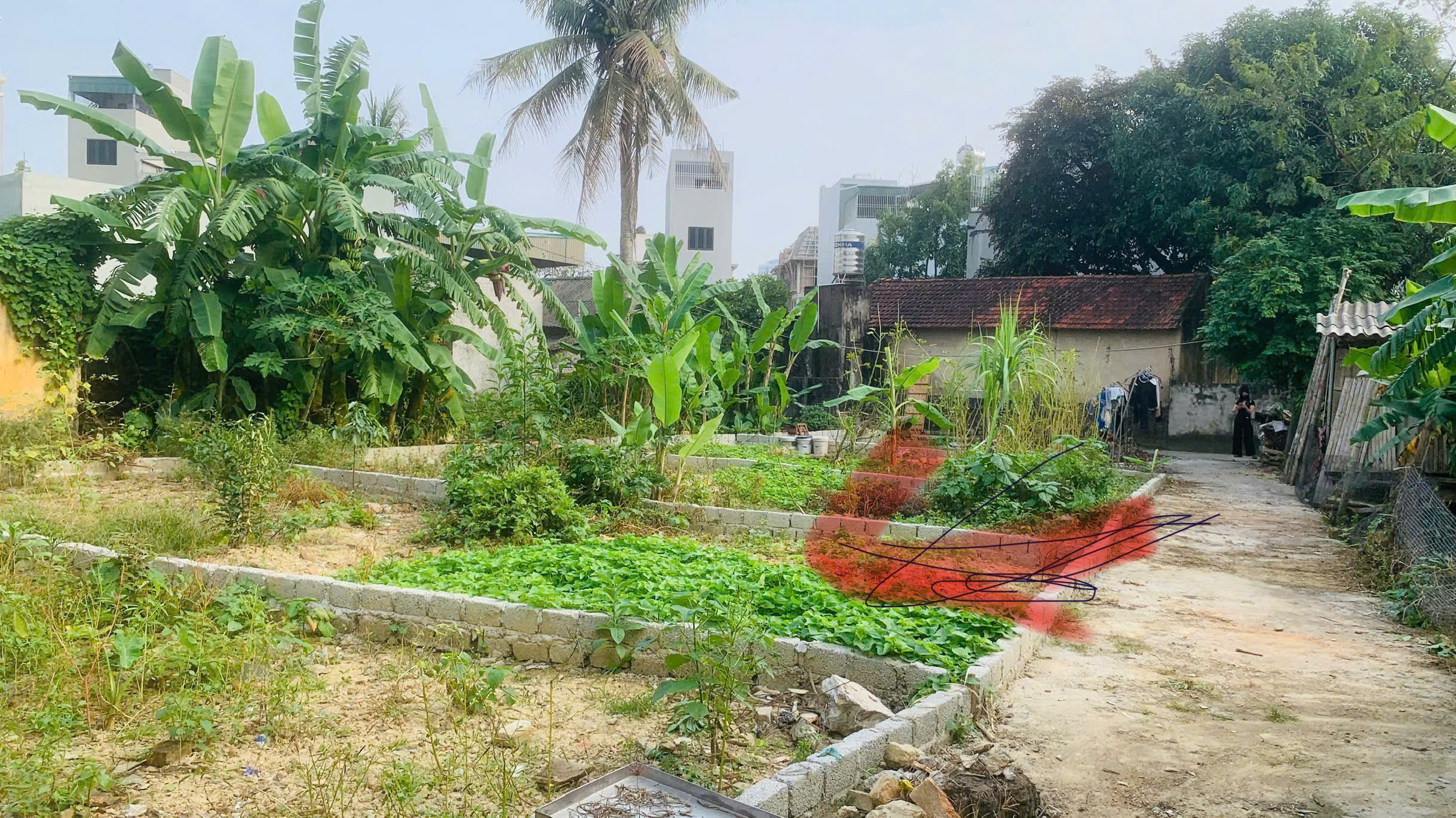 Đất gần công viên nước Đông Hương - 50,6m2, mặt tiền 4,6m, ngõ ô tô, giá tầm 1,2xx tỷ