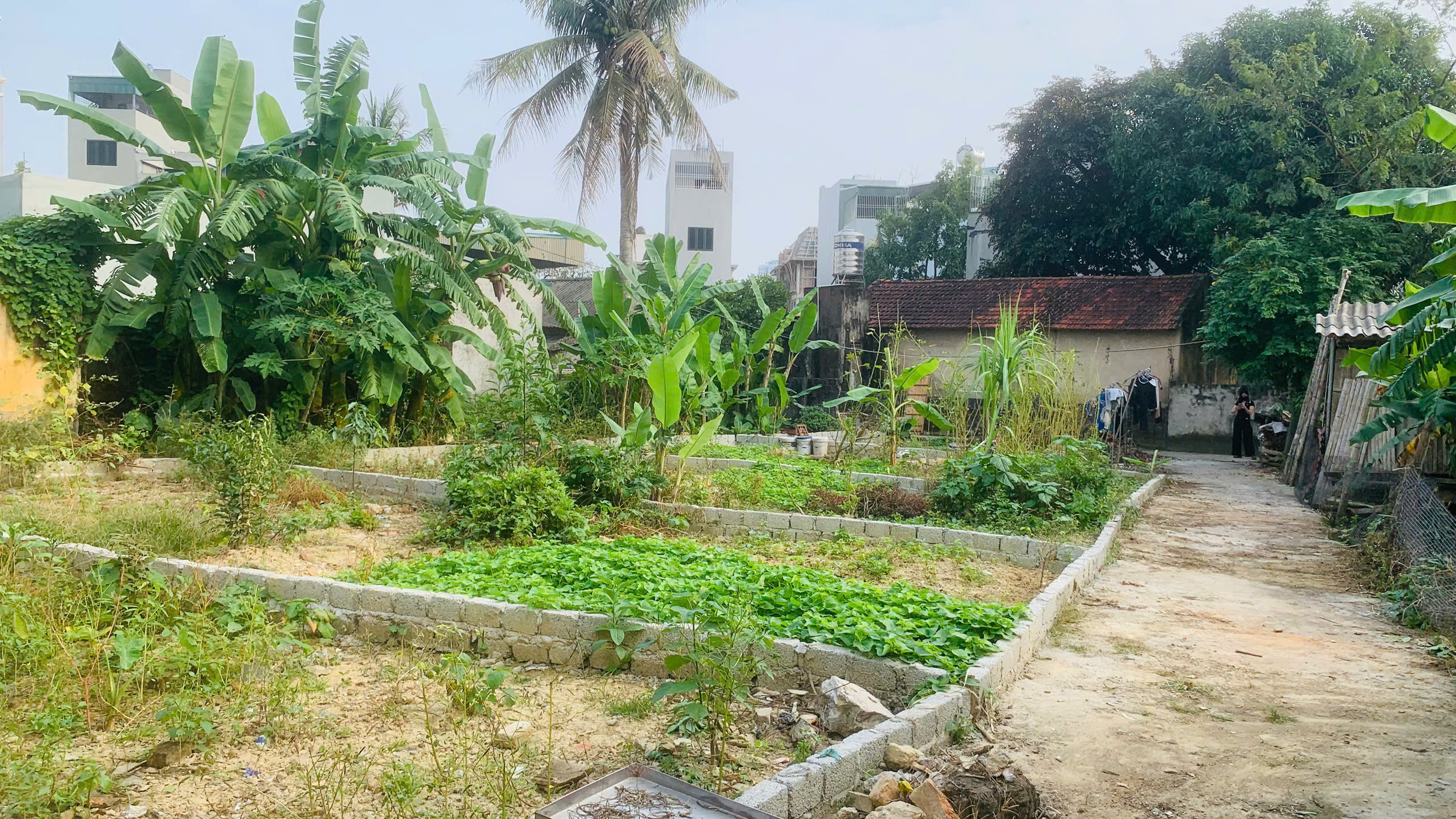 Đất gần công viên nước Đông Hương - 50,6m2, mặt tiền 4,6m, ngõ ô tô, giá tầm 1,2xx tỷ