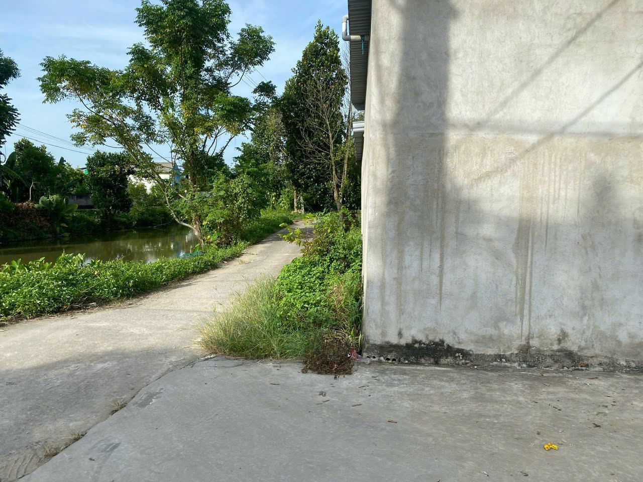 Bán đất xã Quảng Ninh, huyện Quảng Xương - 308,6m2, mặt tiền 12m, đường ô tô