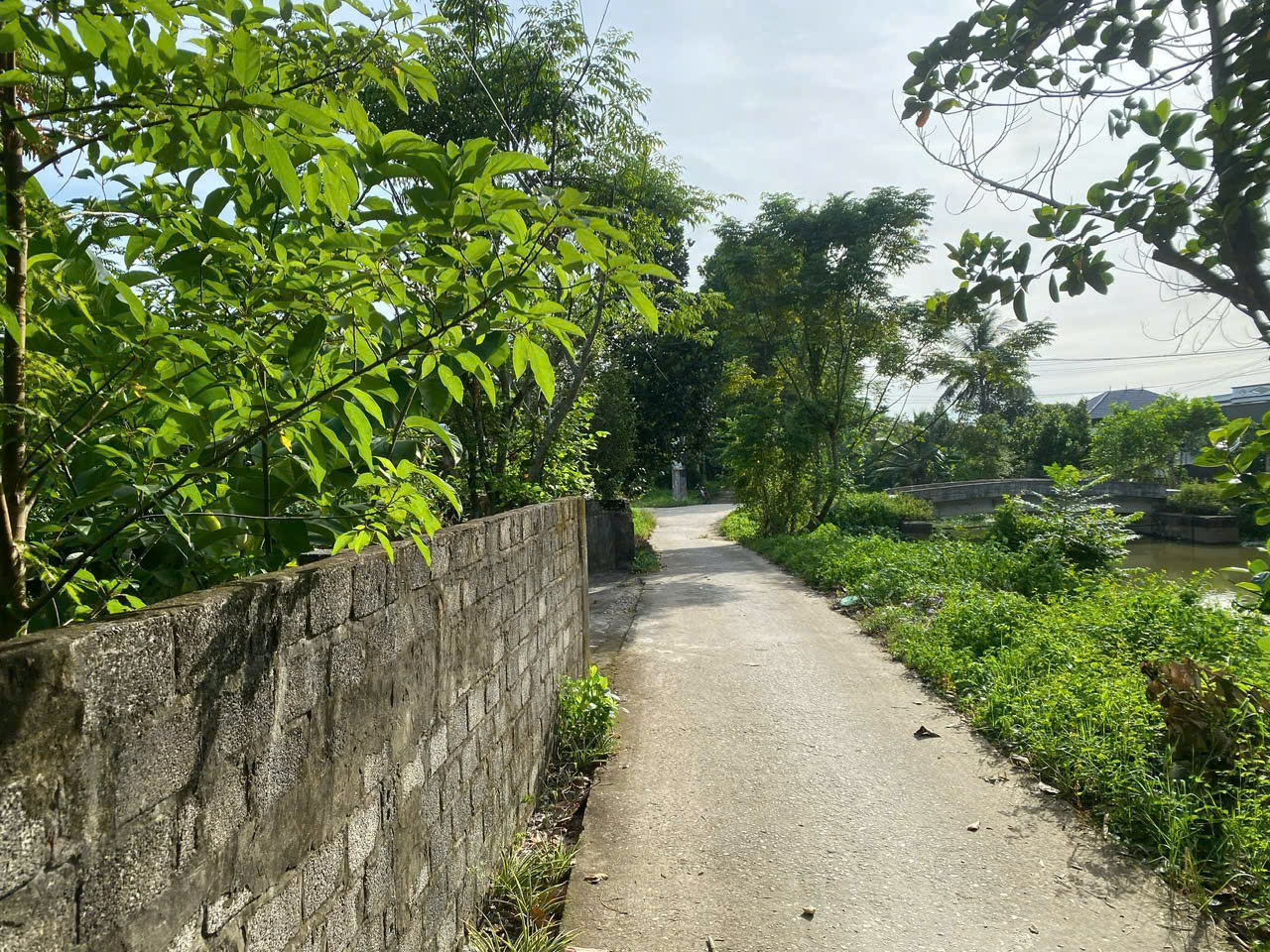 Bán đất xã Quảng Ninh, huyện Quảng Xương - 308,6m2, mặt tiền 12m, đường ô tô