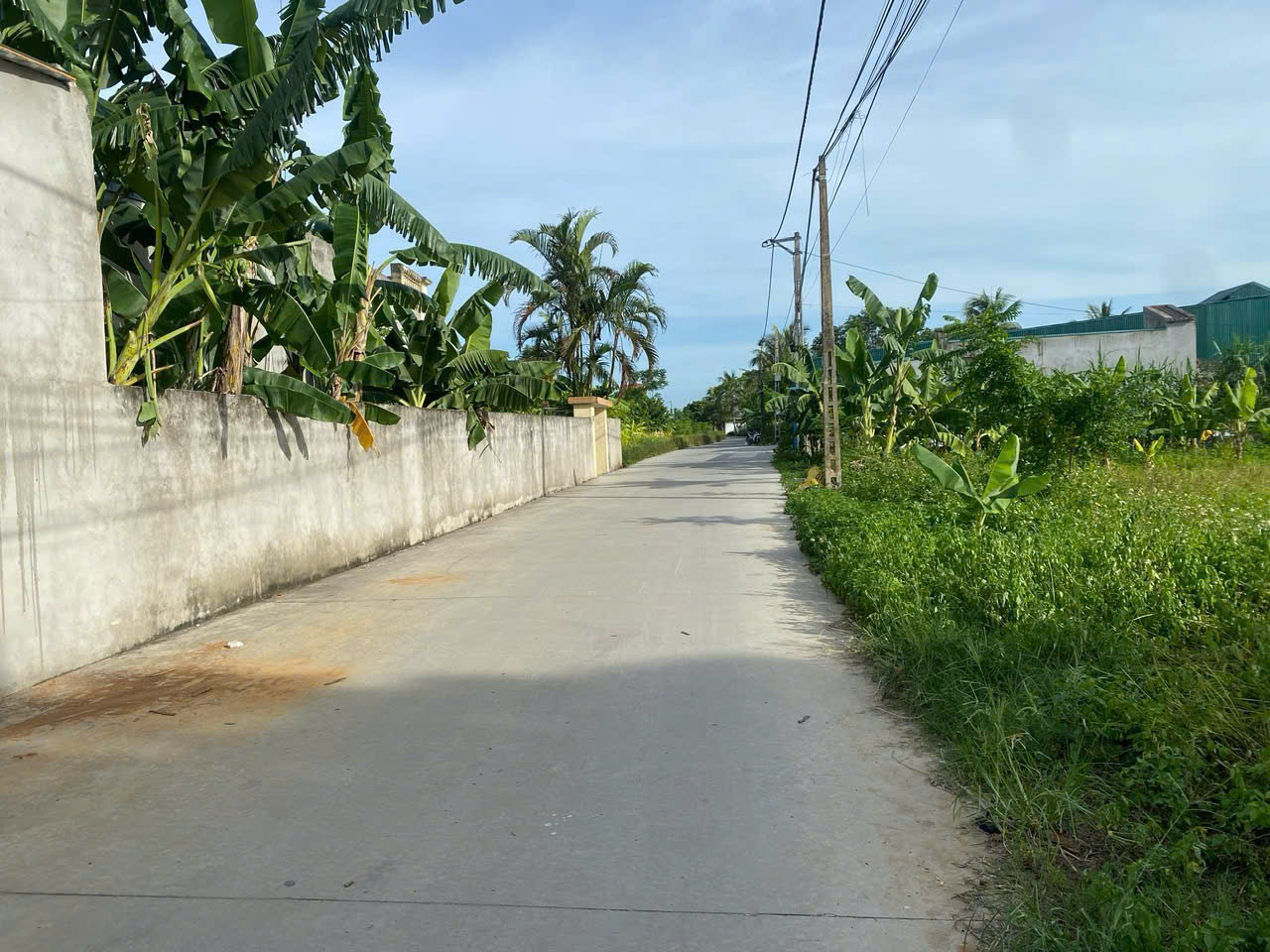 Bán đất xã Quảng Ninh, huyện Quảng Xương - 308,6m2, mặt tiền 12m, đường ô tô