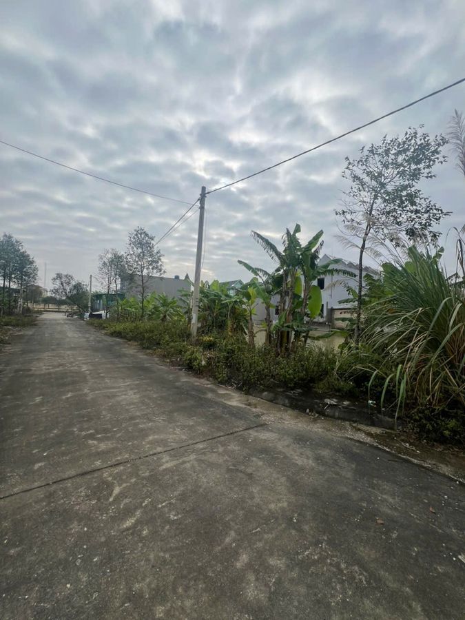 Bán đất mb 771 phường Đông Minh - 175m², mặt tiền 7m, khu dân cư hiện hữu