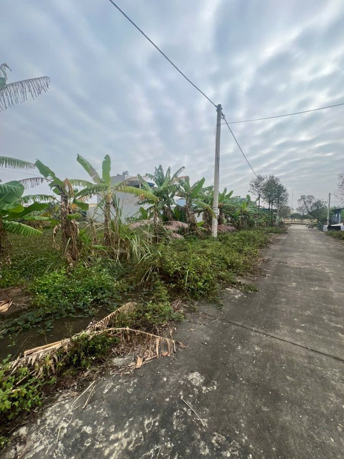 Bán đất mb 771 phường Đông Minh - 175m², mặt tiền 7m, khu dân cư hiện hữu