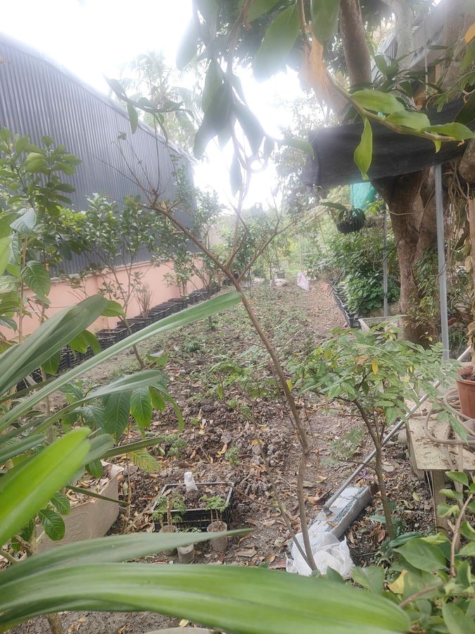 Bán lô đất Thanh Chương Quảng Thành phường Quảng Phú - 100m² full thổ, ô tô dừng đỗ ngày đêm