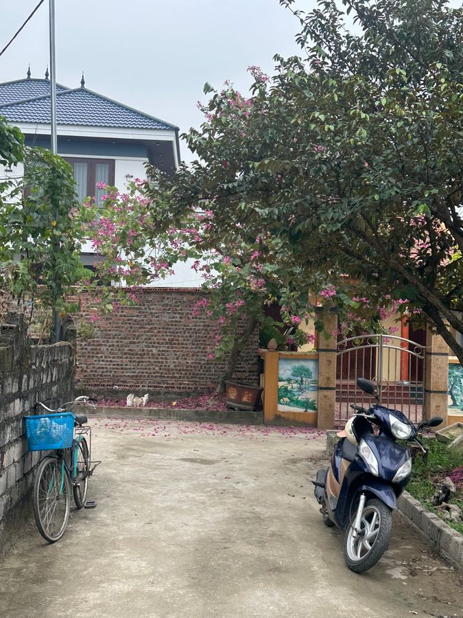 Bán lô đất Thanh Chương Quảng Thành phường Quảng Phú - 100m² full thổ, ô tô dừng đỗ ngày đêm