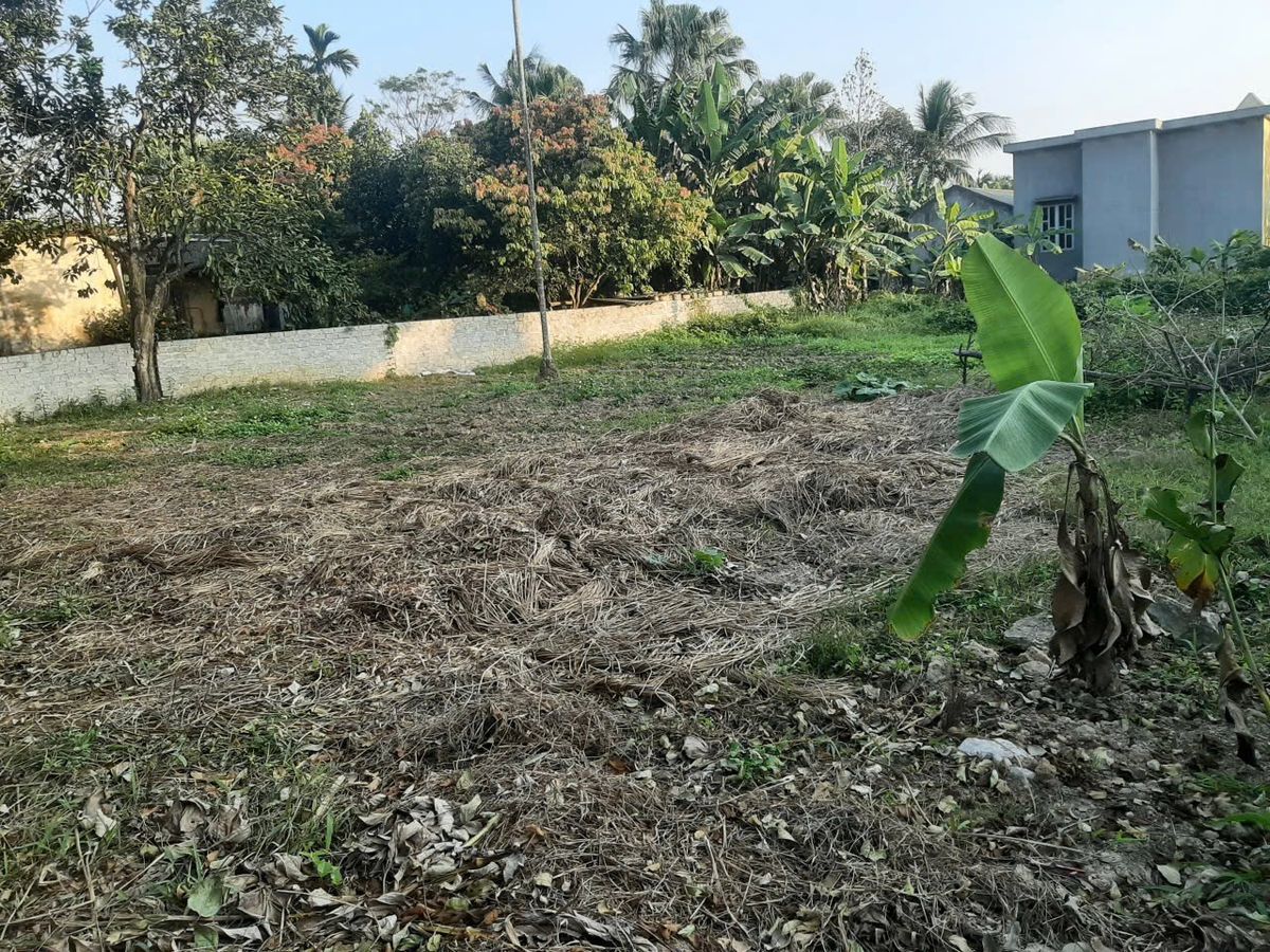 Bán lô đất rộng Kim Đồng, Quảng Văn, Quảng Xương - 529m² có 200m thổ cư, ngõ ô tô