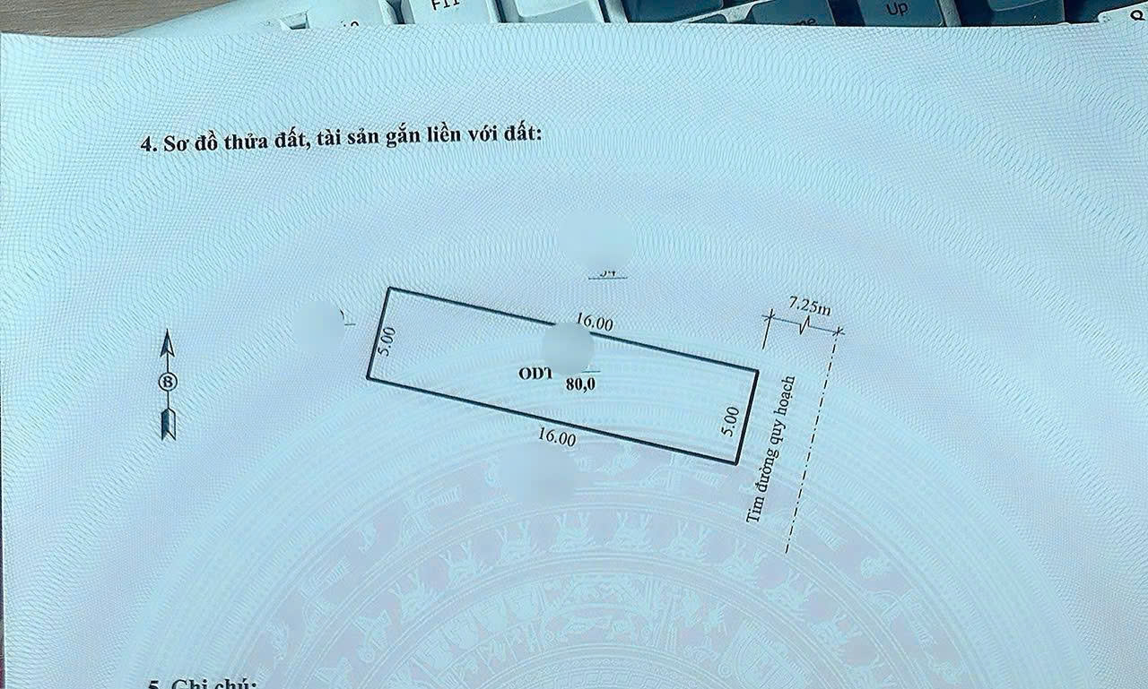 Bán nhanh lô đất đường Trần Bình Trọng phường Quảng Hưng (cũ) 80m mặt tiền 5m hướng Đông Nam