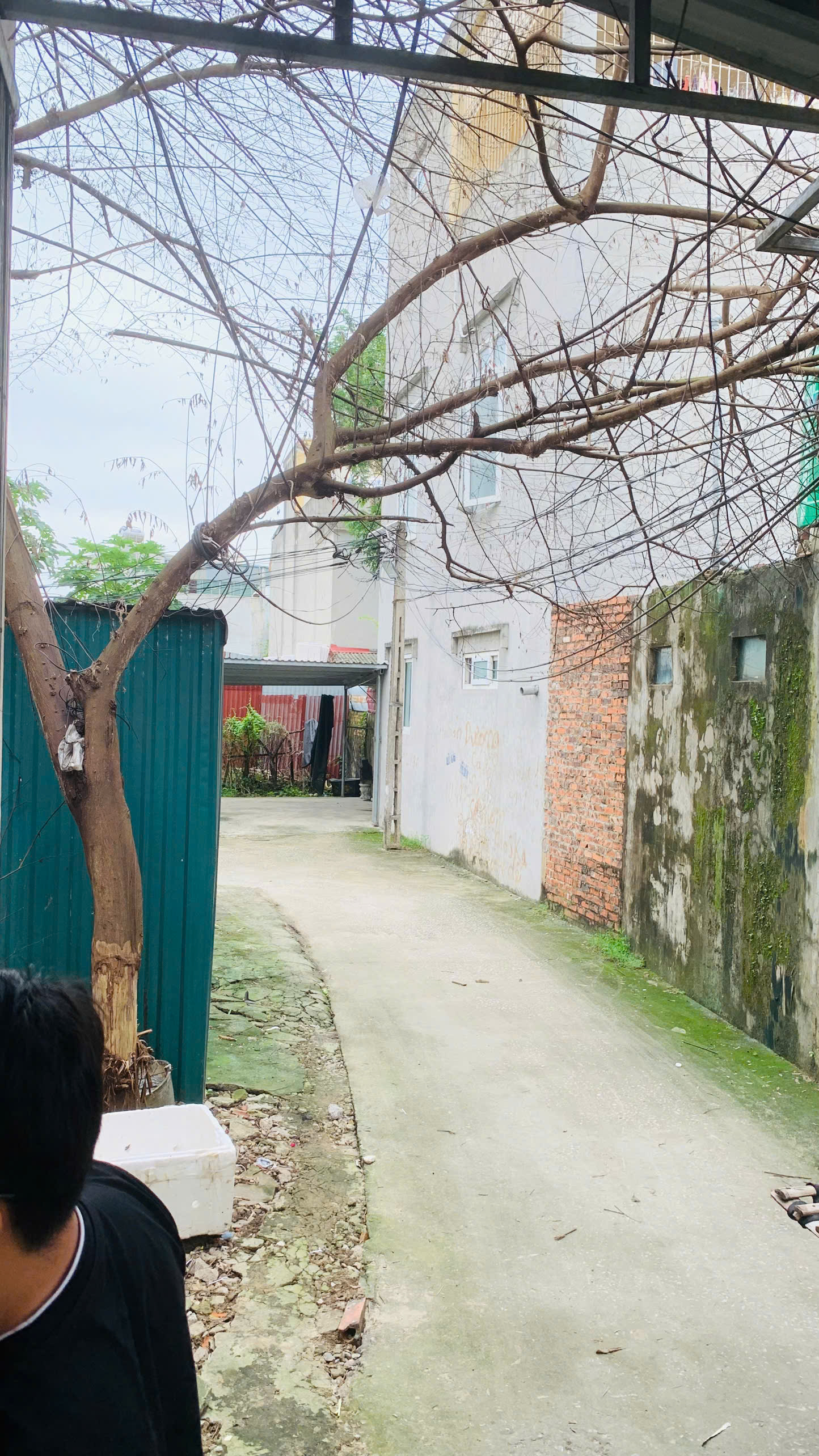 Duy nhất căn nhà 54m² sát Chợ Đầu Mối, ngõ ô tô thông tứ phía, giá chỉ 2,1xx tỷ