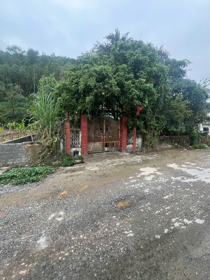 Bán đất diện tích lớn Đông Tiến 535m2 mặt tiền 14,79m khu dân cư yên tĩnh