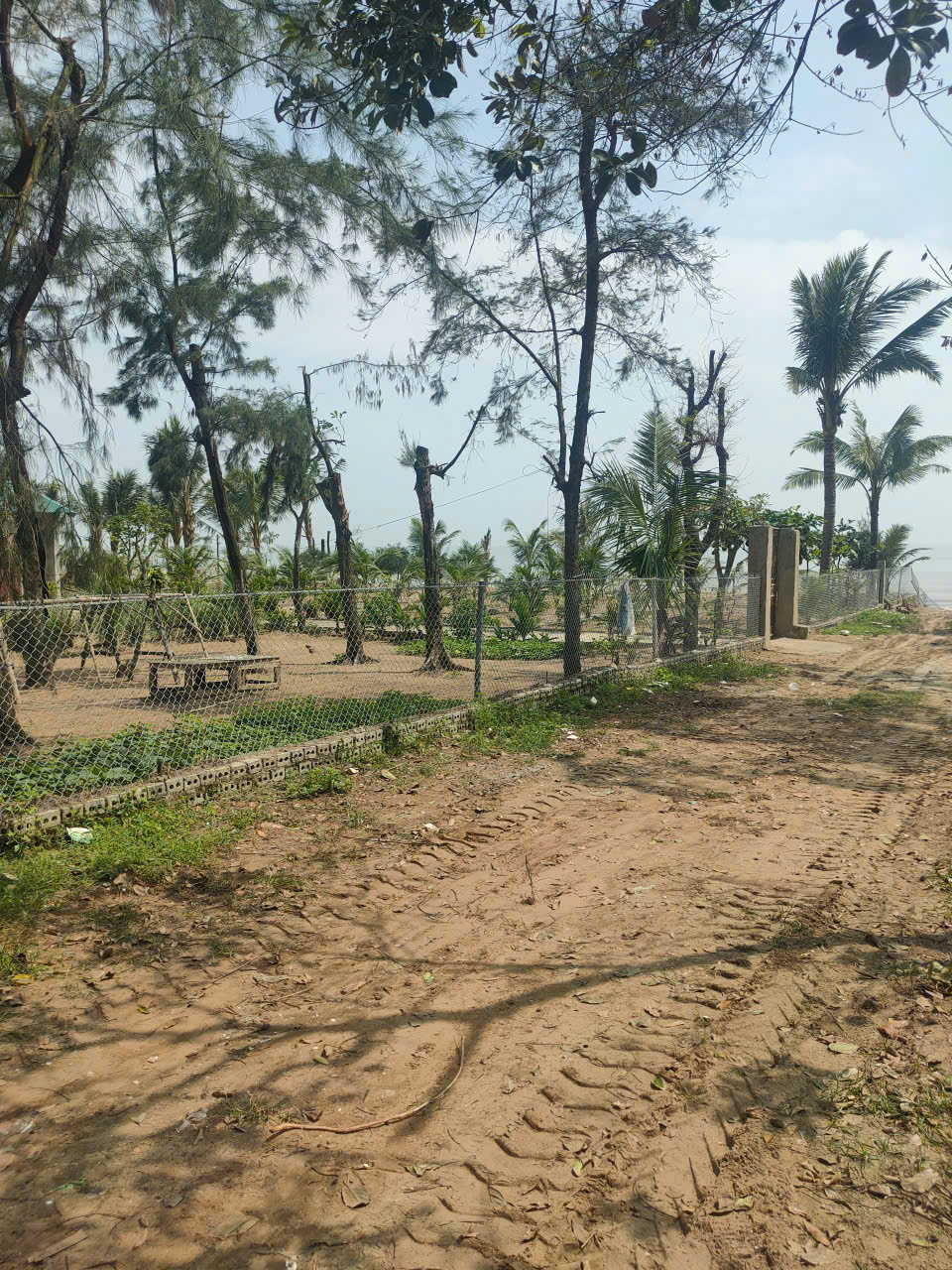 Đất view biển Quảng Xương Thanh Hóa 1.350m² có thổ cư, 3 mặt tiền hiếm