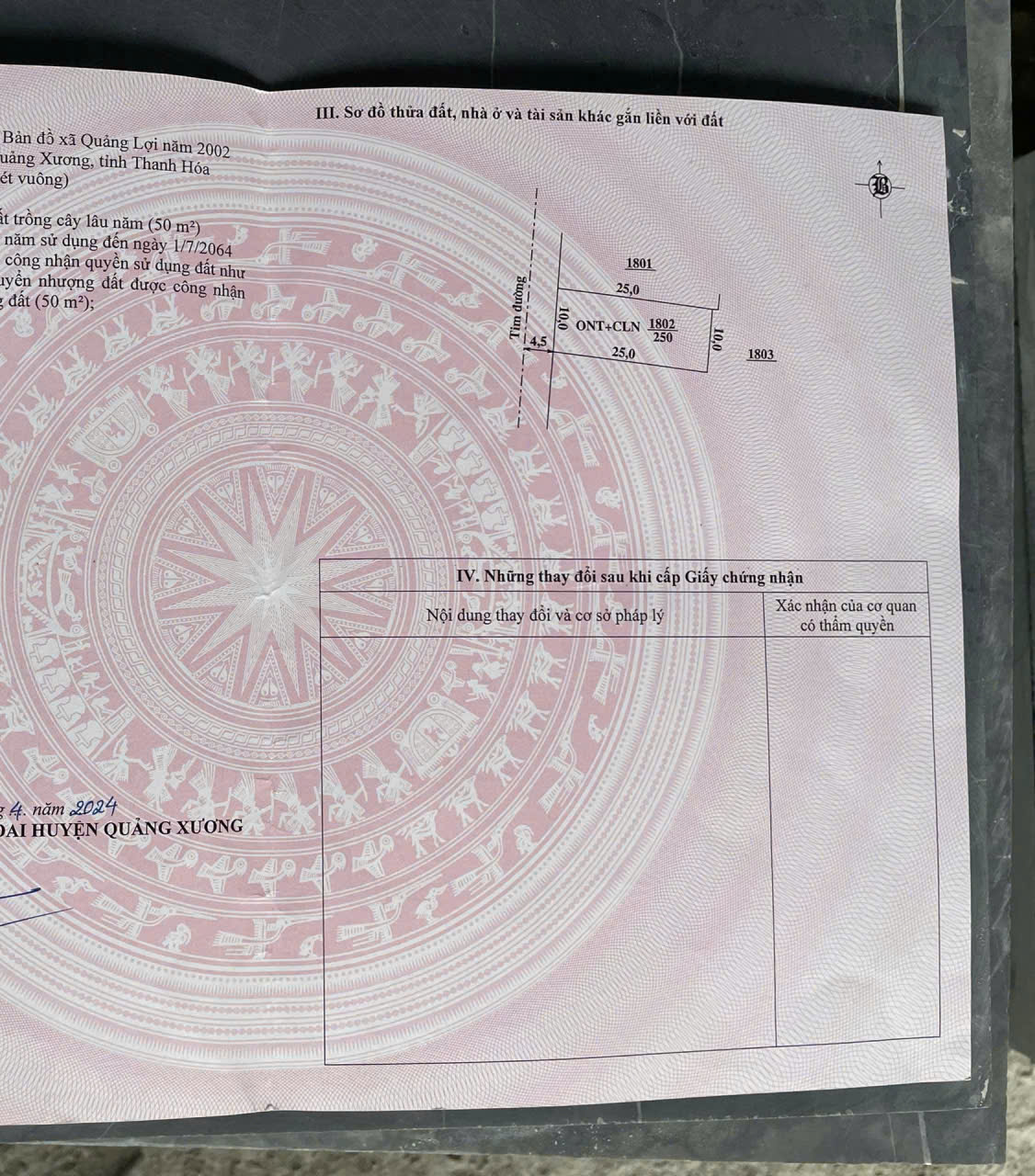 Đất Tiên Trang Quảng Xương 250m² gần biển, mặt tiền 10m ô tô thông