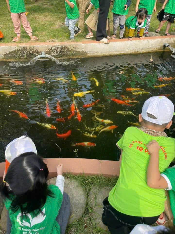 Chuyển nhượng đảo Hưng Giang Quảng Hưng - 30.757m², full công trình - phù hợp nghỉ dưỡng & du lịch sinh thái - giá 11 tỷ