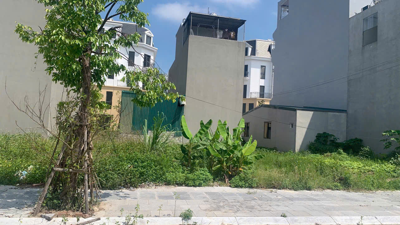 Bán lô đất đẹp 63,7m² đối diện 3 toà chung cư noxh - gần Central Riverside Đông Hải