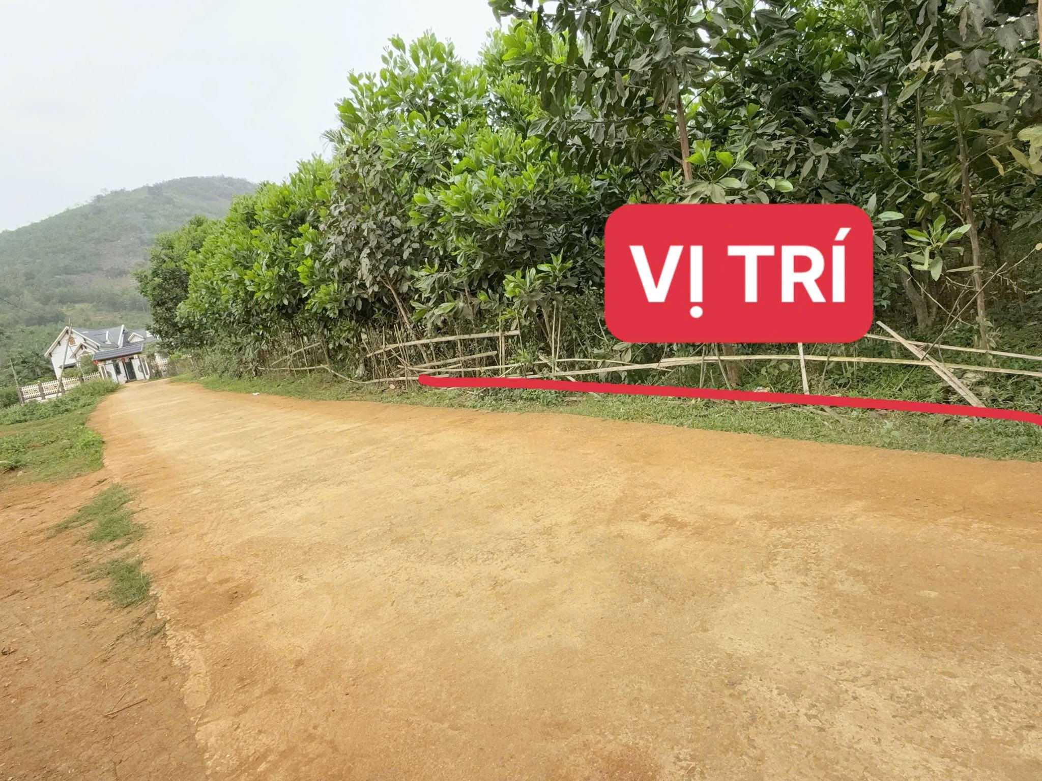 Gần 500m2 đường rộng 8m chỉ 1xx (bao sổ)