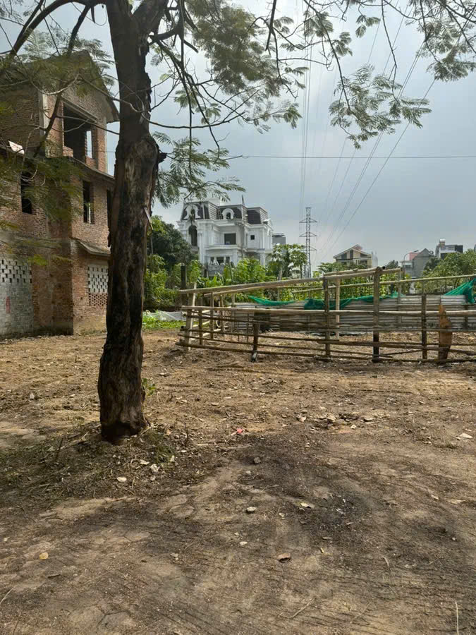 Biệt thự xây thô ở TP Thanh Hoá - 413m2 mà chỉ 14,5 tỷ