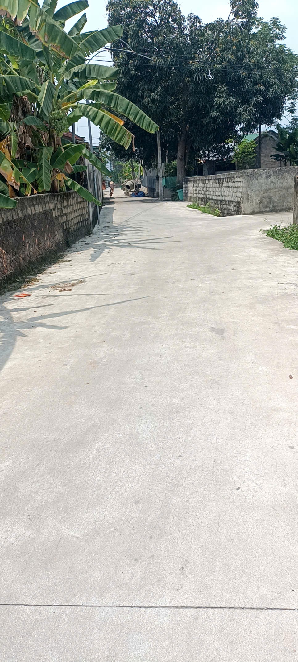 Cần bán gấp  lô đất  rẻ tại Triệu Sơn