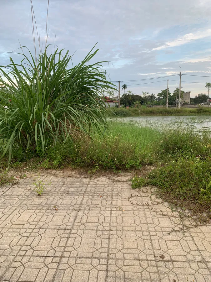 MB 473 Đông Tiến: gần trường, gần đường - Giá tốt, vị trí vàng