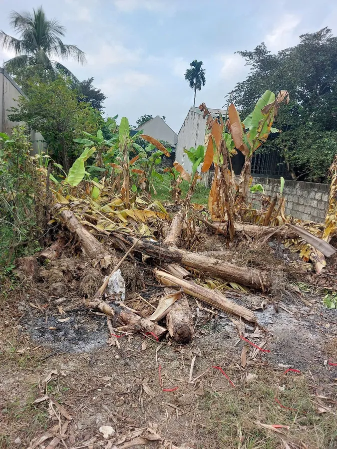 Bán đất 140m² phường Quảng Hưng Thanh Hóa - mặt tiền 4,9m, giá chỉ 1,1 tỷ