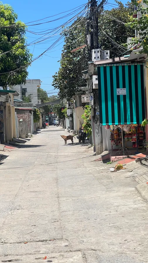 Bán đất kèm nhà cấp 4 mặt tiền kinh doanh spa - gần hồ Đồng Chiệc Thanh Hóa, giá 3 tỷ xx