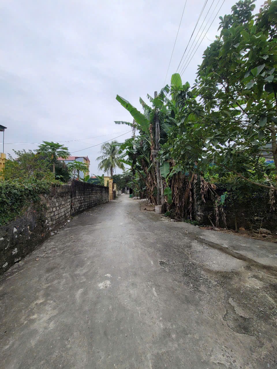 Bán đất Đông Vinh Thanh Hóa -157m², mặt tiền 6,1m, giá chỉ 1.25 tỷ