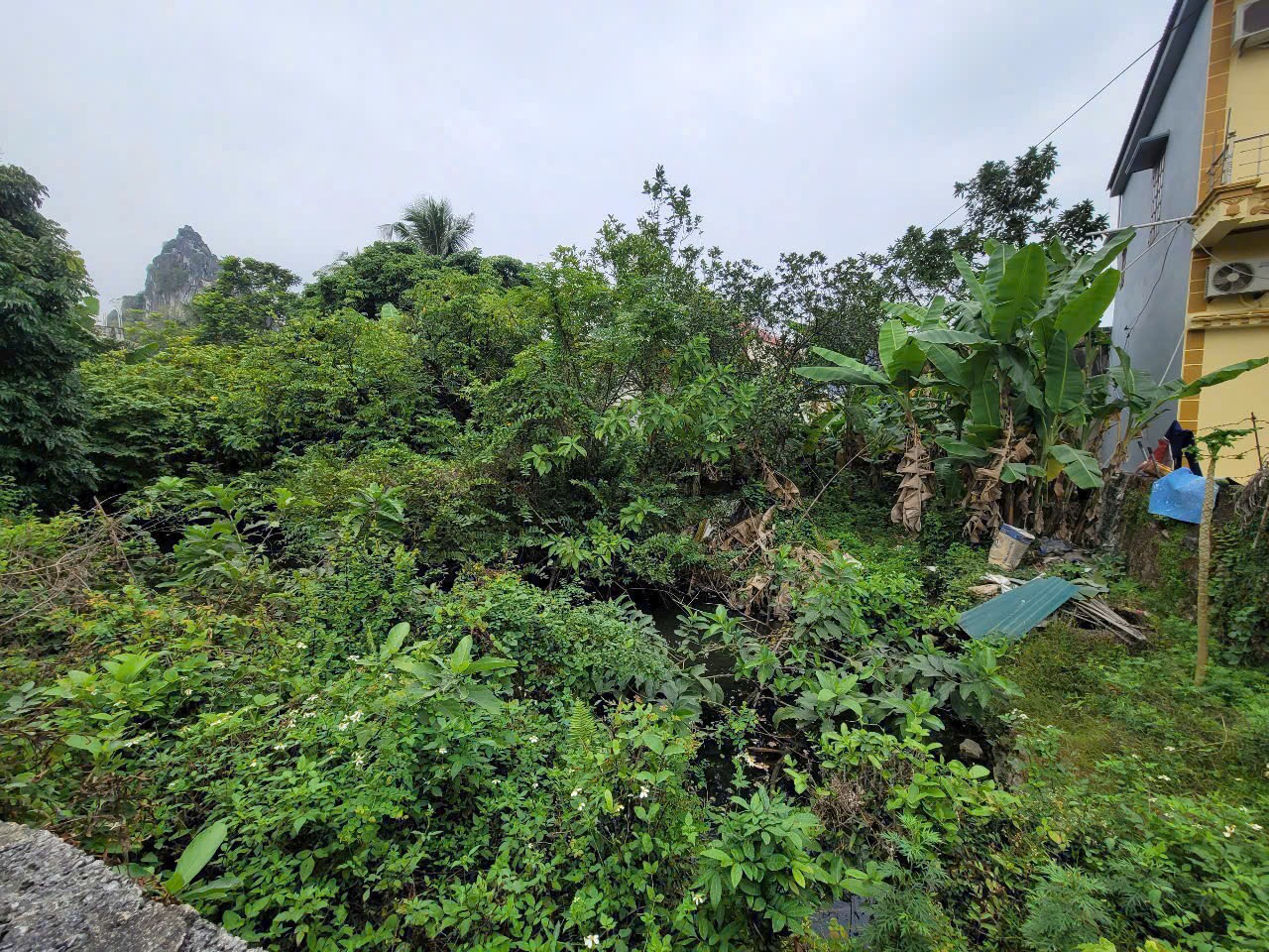 Bán đất Đông Vinh Thanh Hóa -157m², mặt tiền 6,1m, giá chỉ 1.25 tỷ