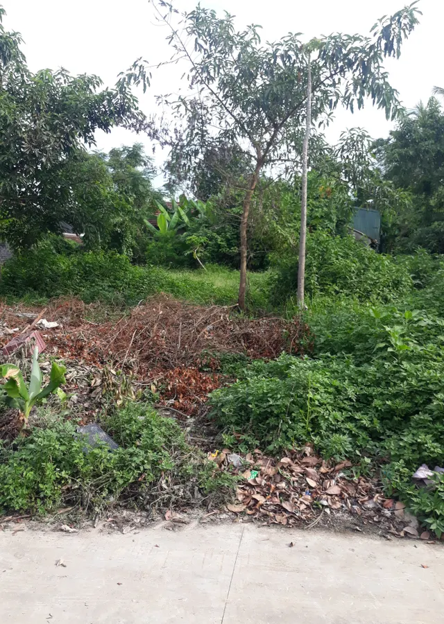 Bán đất Đông Minh Đông Sơn - 21m mặt tiền rất đẹp, giá hợp lý