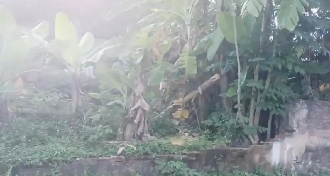 553m2 đất đẹp full thổ cư - view sông mát quanh năm tại Đông Hoàng, Đông Sơn