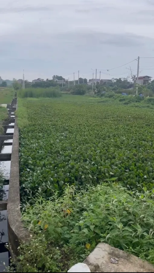 Đất MB 638 Đông Thanh - hàng kín, 3 mặt tiền