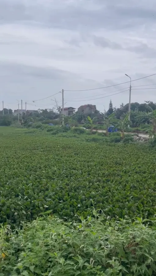 Đất MB 638 Đông Thanh - hàng kín, 3 mặt tiền